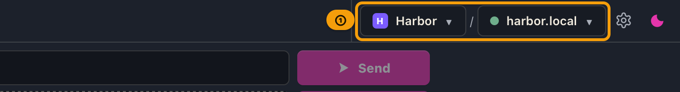 The right side of the top bar: the project and environment selectors